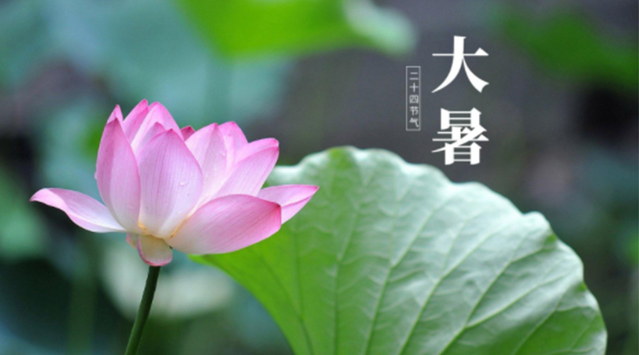 大暑時(shí)節(jié)！金環(huán)電器提醒大家注意這些干衣細(xì)節(jié)
