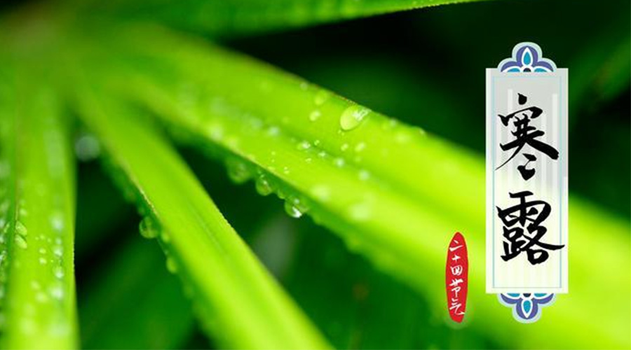 寒露時(shí)節(jié)到！金環(huán)電器提醒這些干衣事項(xiàng)要注意