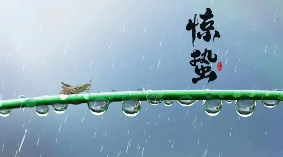 驚蟄時(shí)節(jié)！金環(huán)電器提醒大家干衣要注意這些