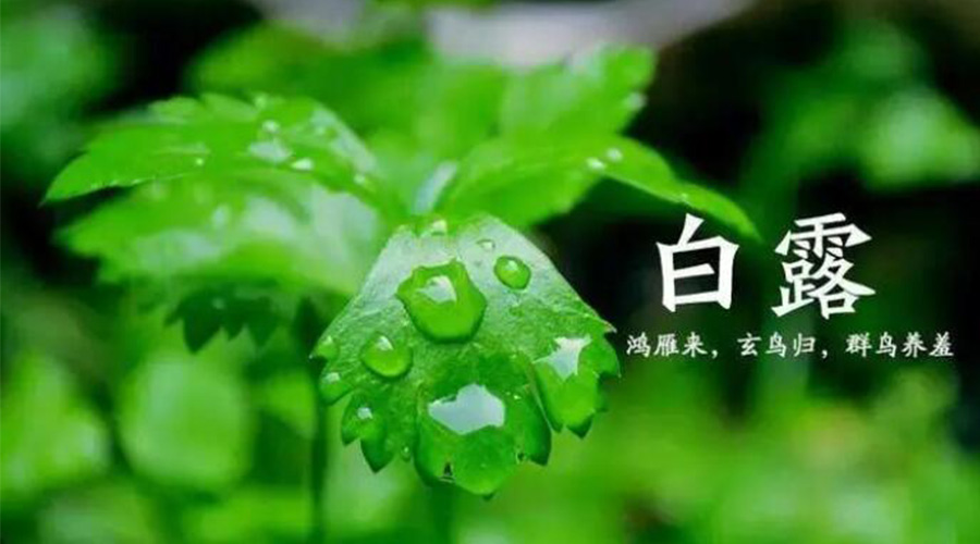 白露時節(jié)！金環(huán)電器提醒大家要注意的事項