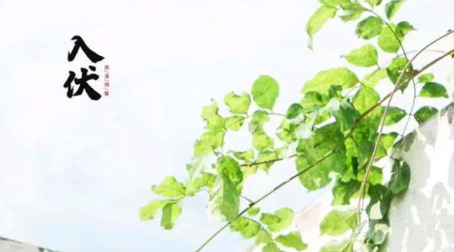 初伏時節(jié)！金環(huán)電器提醒大家要注意的事項