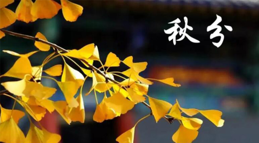 秋分時節(jié)！金環(huán)電器提醒大家要注意的事項