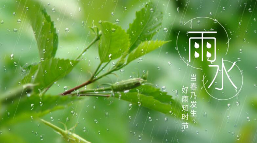 雨水時節(jié)！金環(huán)電器提醒大家要注意的事項