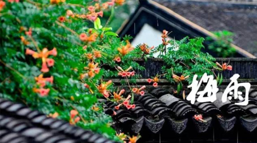 什么是梅雨？梅雨如何形成？  金環(huán)電器告訴你答案